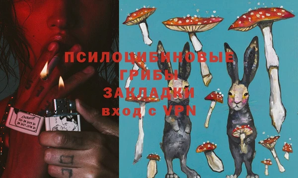 дурь Абинск
