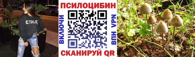 продажа наркотиков Подольск Галлюциногенные грибы ЛСД