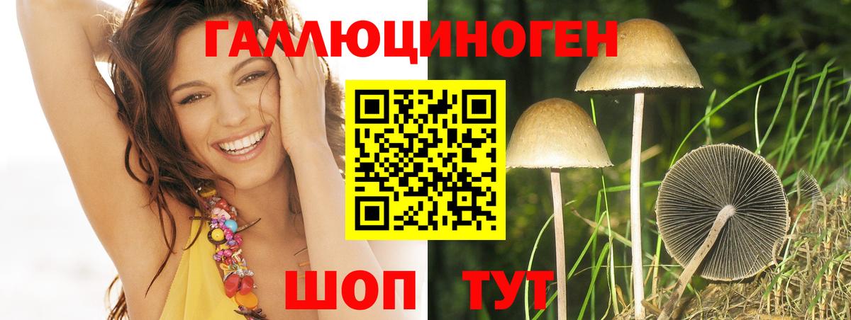 Галлюциногенные грибы MAGIC MUSHROOMS  где можно купить наркотик  Подольск  Вход с VPN 